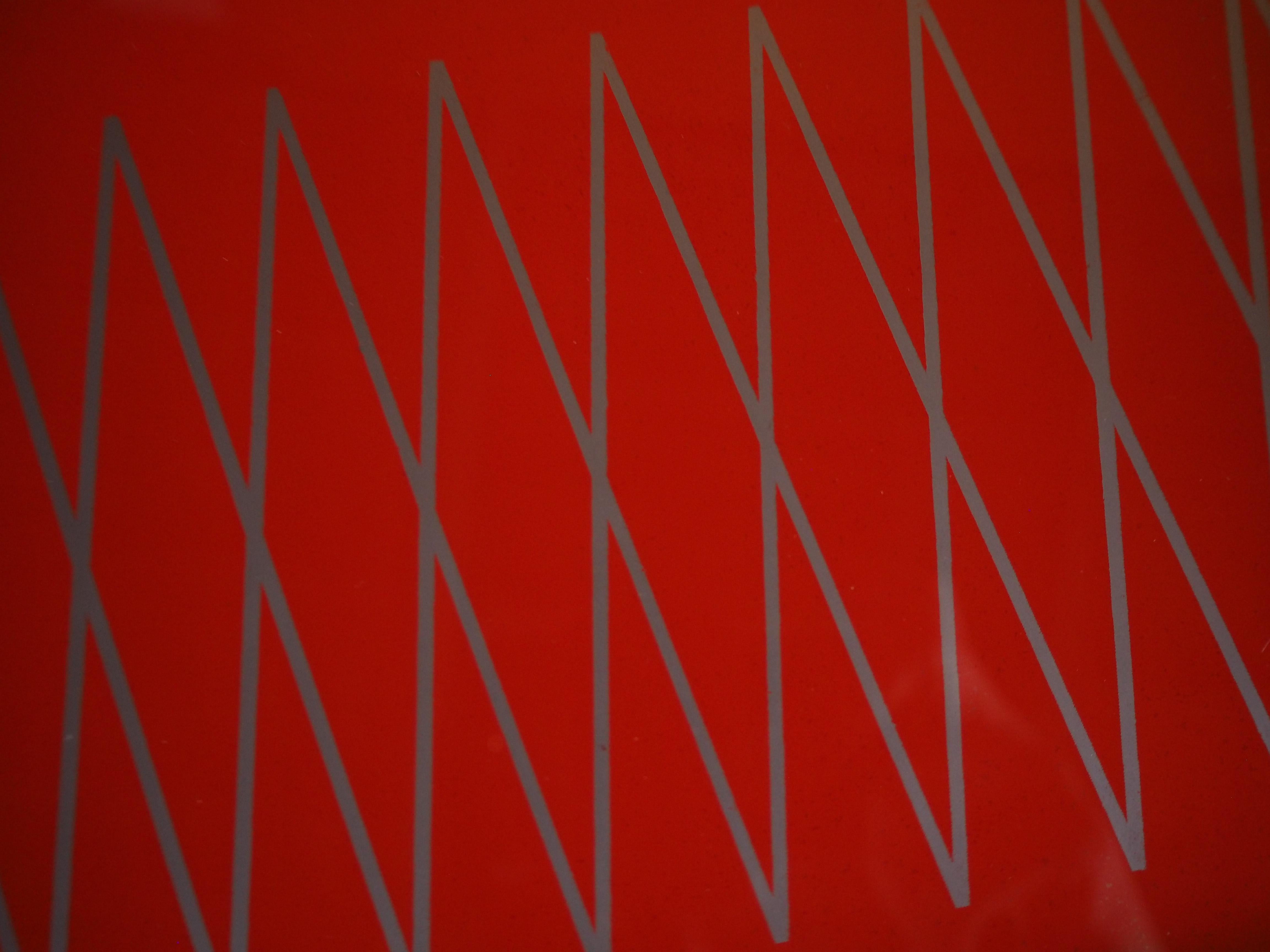 Midcentury Serving Tray, Europe, 1950s For Sale 3