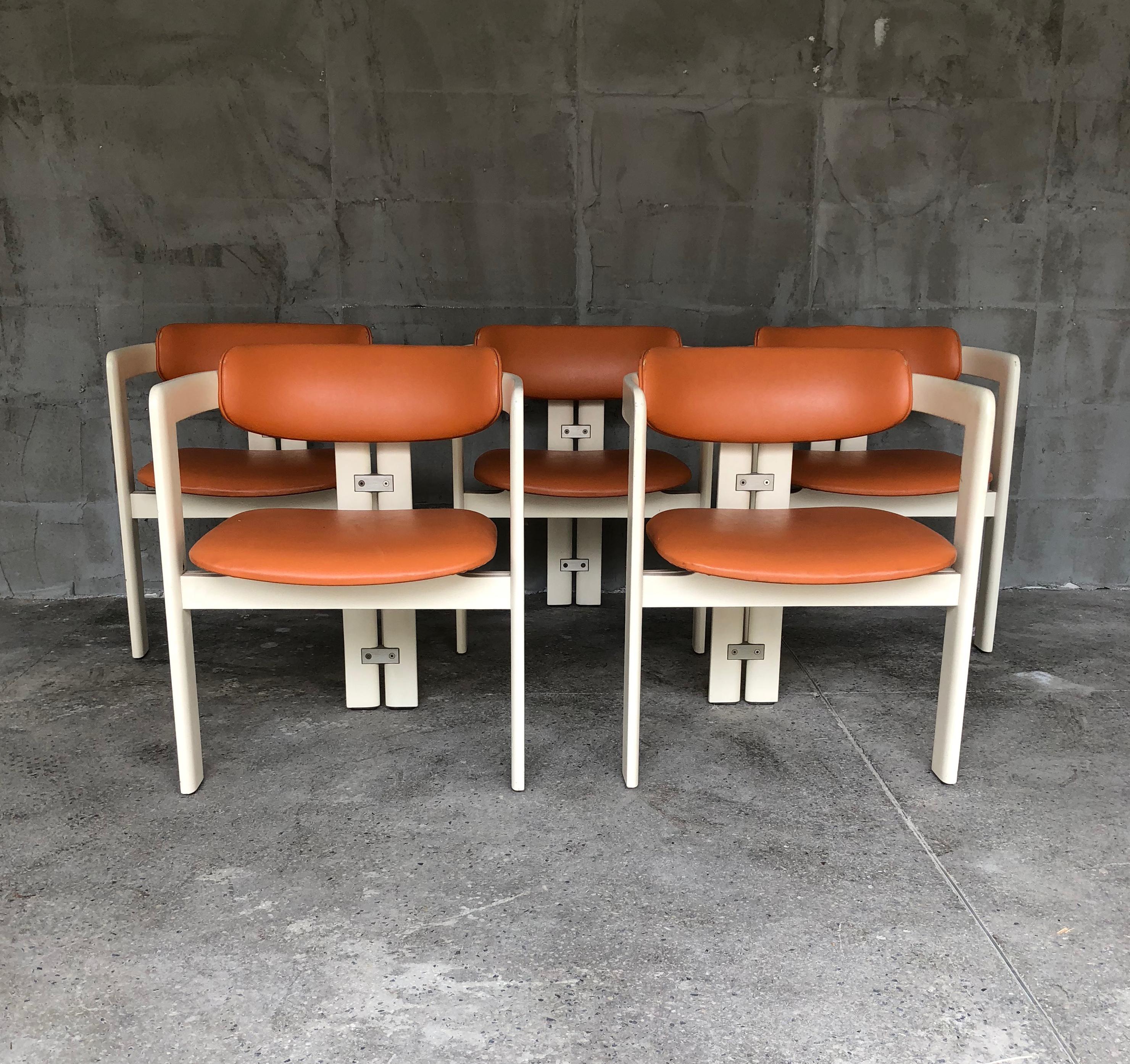 Stylish set of 5 Pamplona armchairs by Italian designer Augusto Savini made in Italy in the 1960's. The chairs are 6, but the six must be reupholstered. It is given as a bonus to the other five. They have lacquered in ivory white wooden frames,