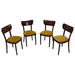 Midcentury Set of Four Chairs or Ton, 1960s