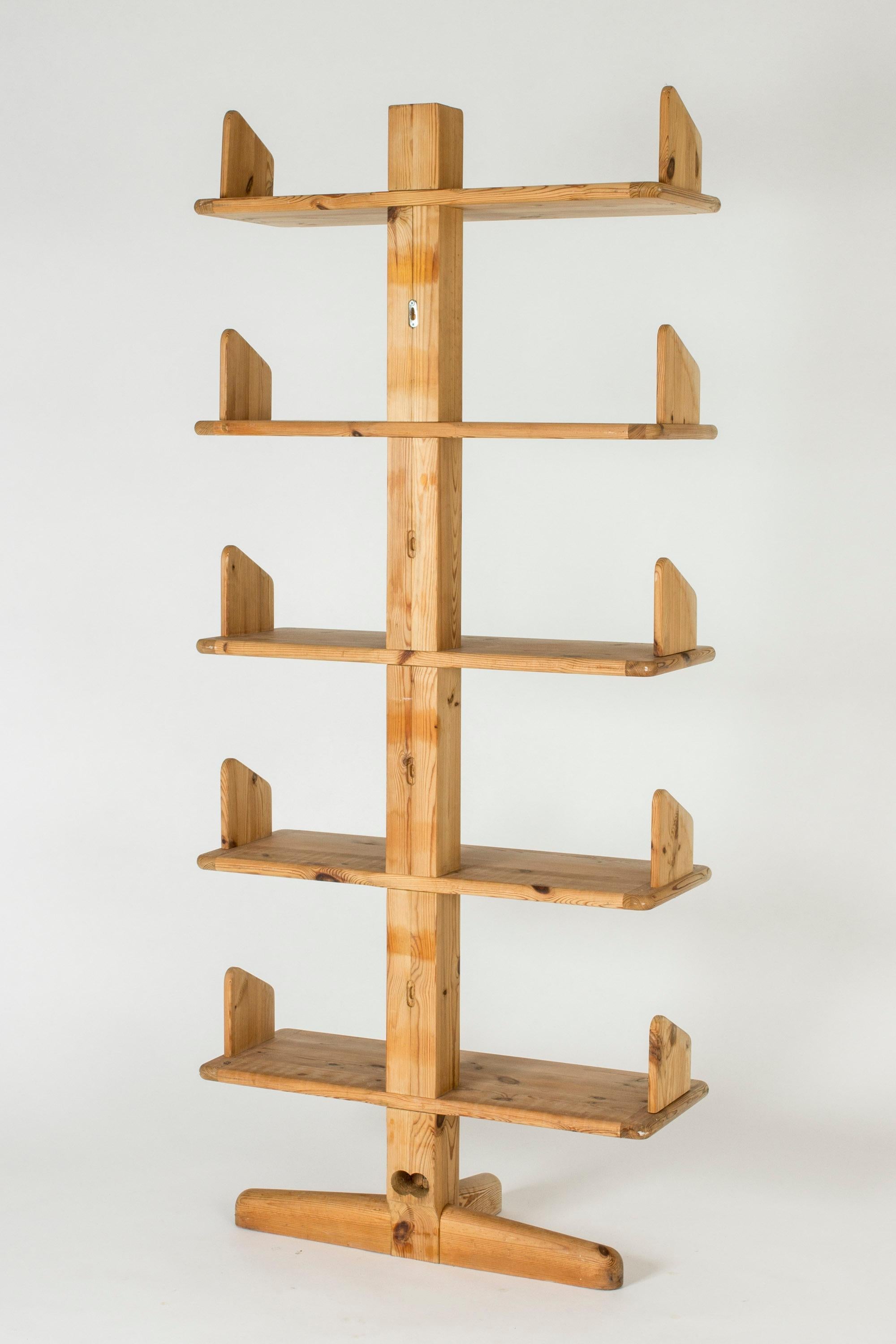 Midcentury Shelf by Rainer Daumiller for Hirtshals Savværk 3