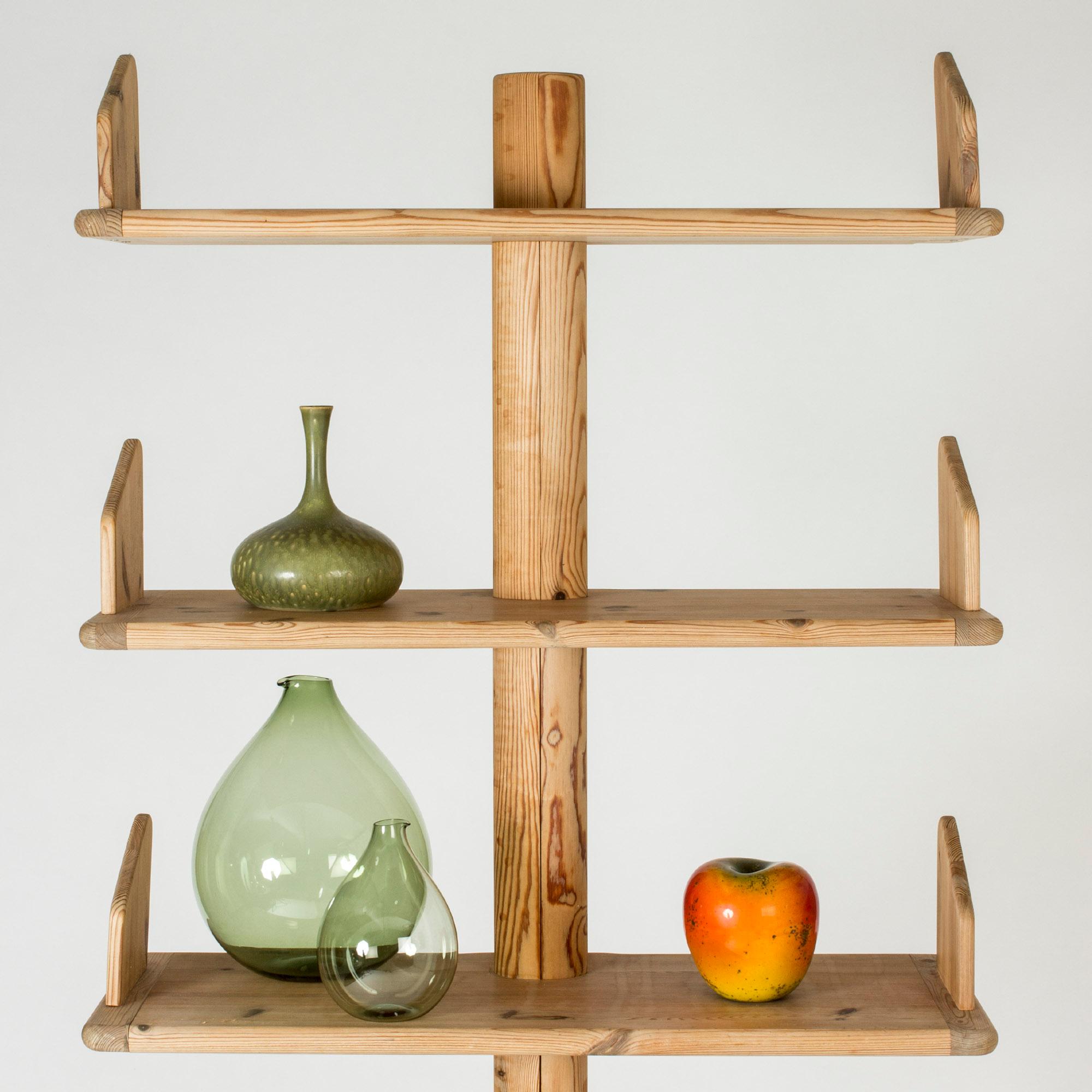 Scandinavian Modern Midcentury Shelf by Rainer Daumiller for Hirtshals Savværk
