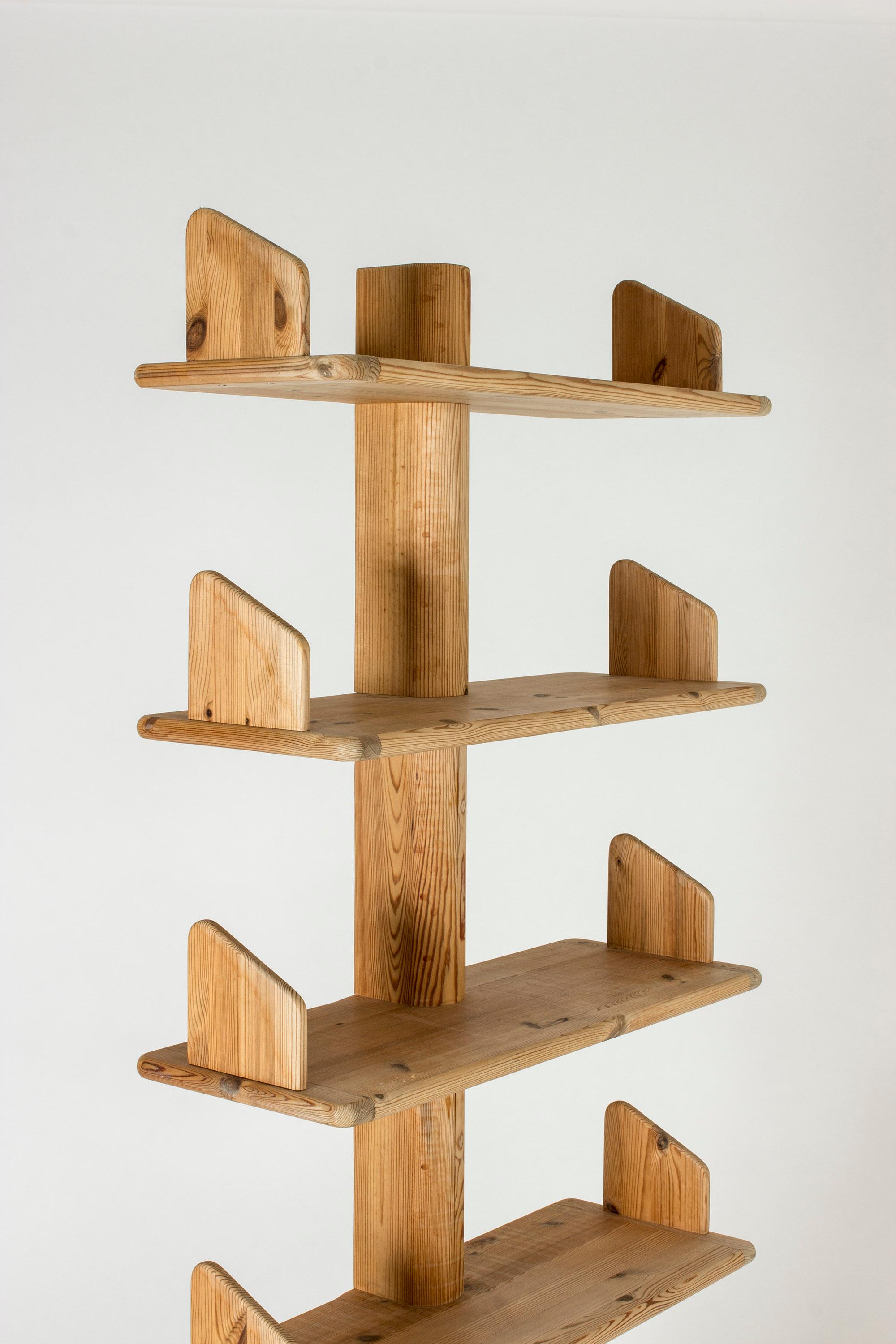 Mid-20th Century Midcentury Shelf by Rainer Daumiller for Hirtshals Savværk