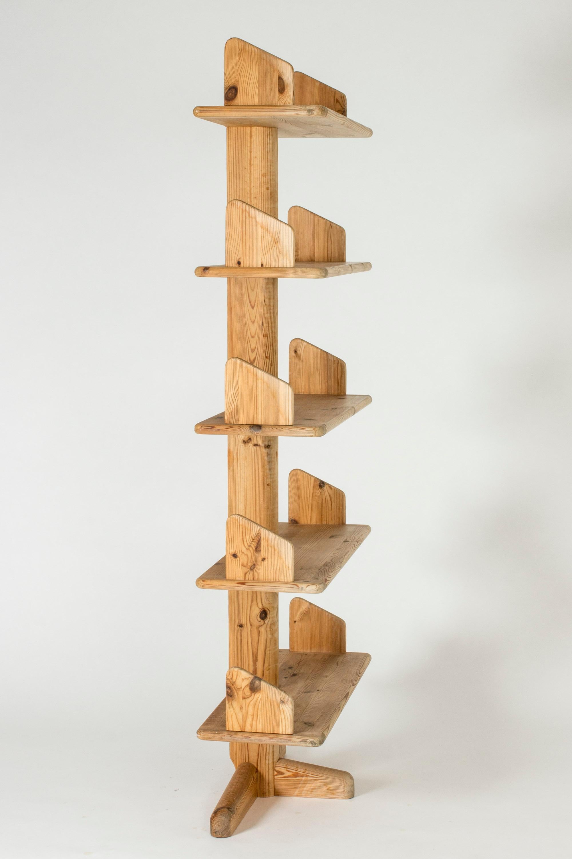 Midcentury Shelf by Rainer Daumiller for Hirtshals Savværk 1