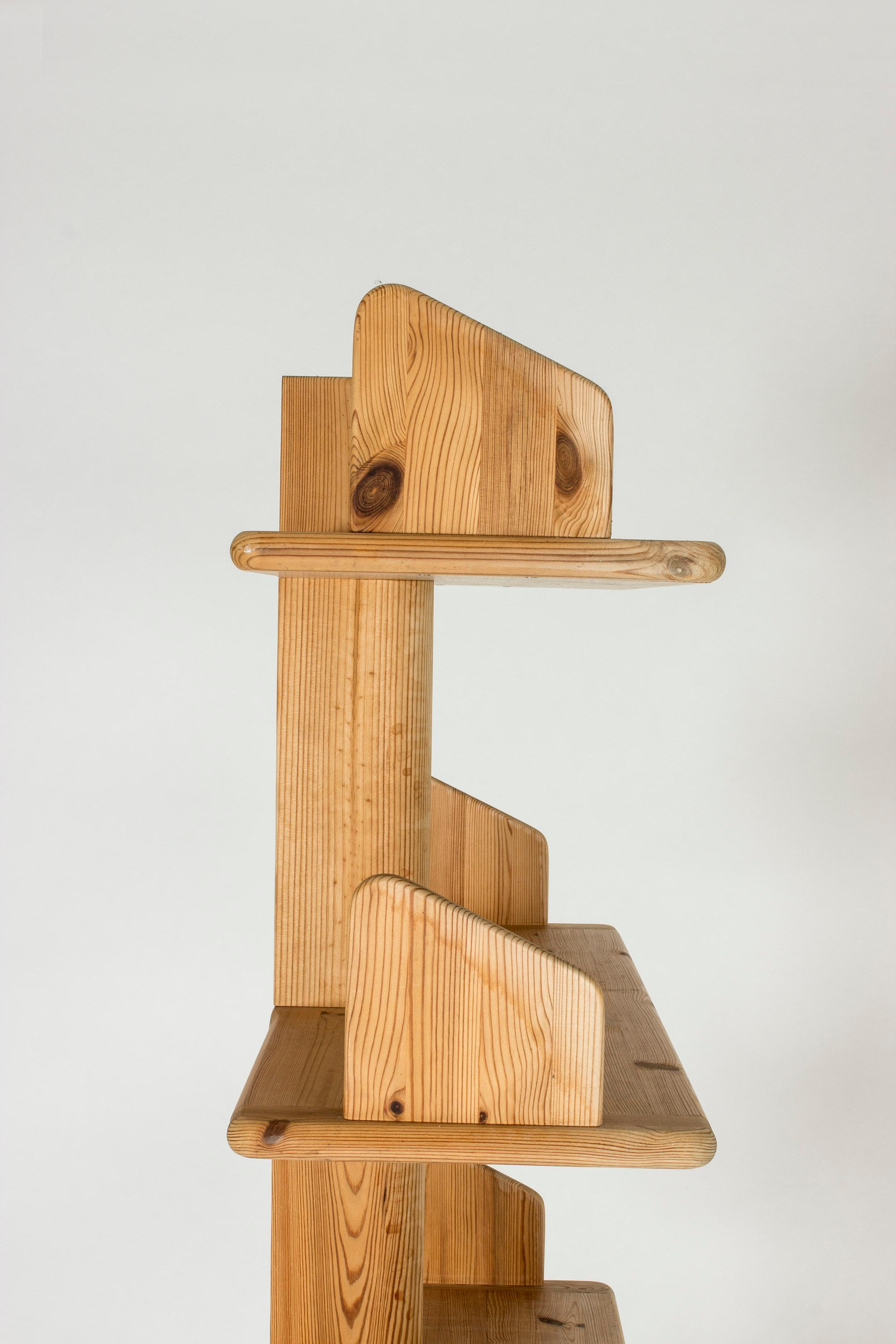 Midcentury Shelf by Rainer Daumiller for Hirtshals Savværk 2