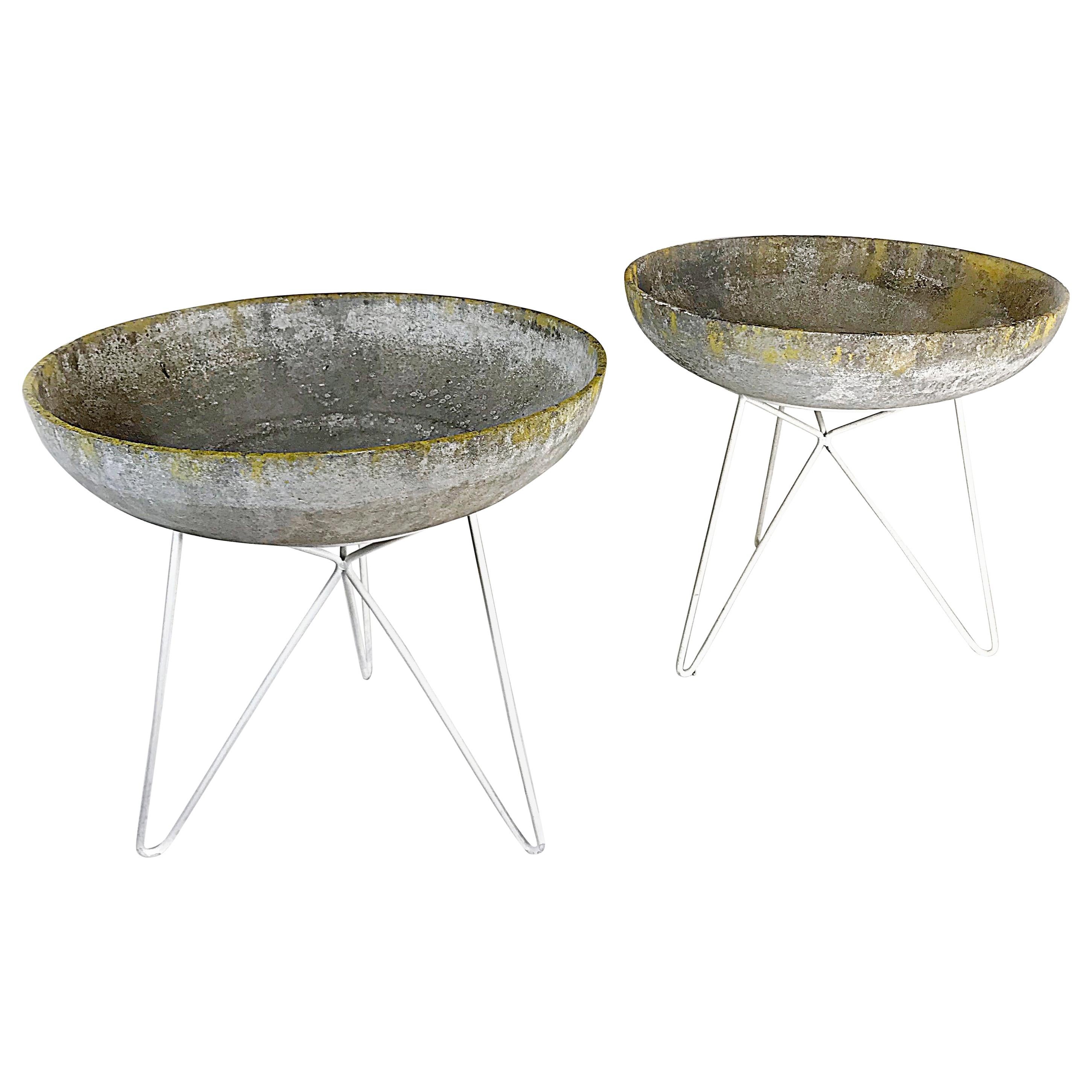 Midcentury Sonett Saucer Garden Planters with Hairpin Legs Stand, 1950s, Austria