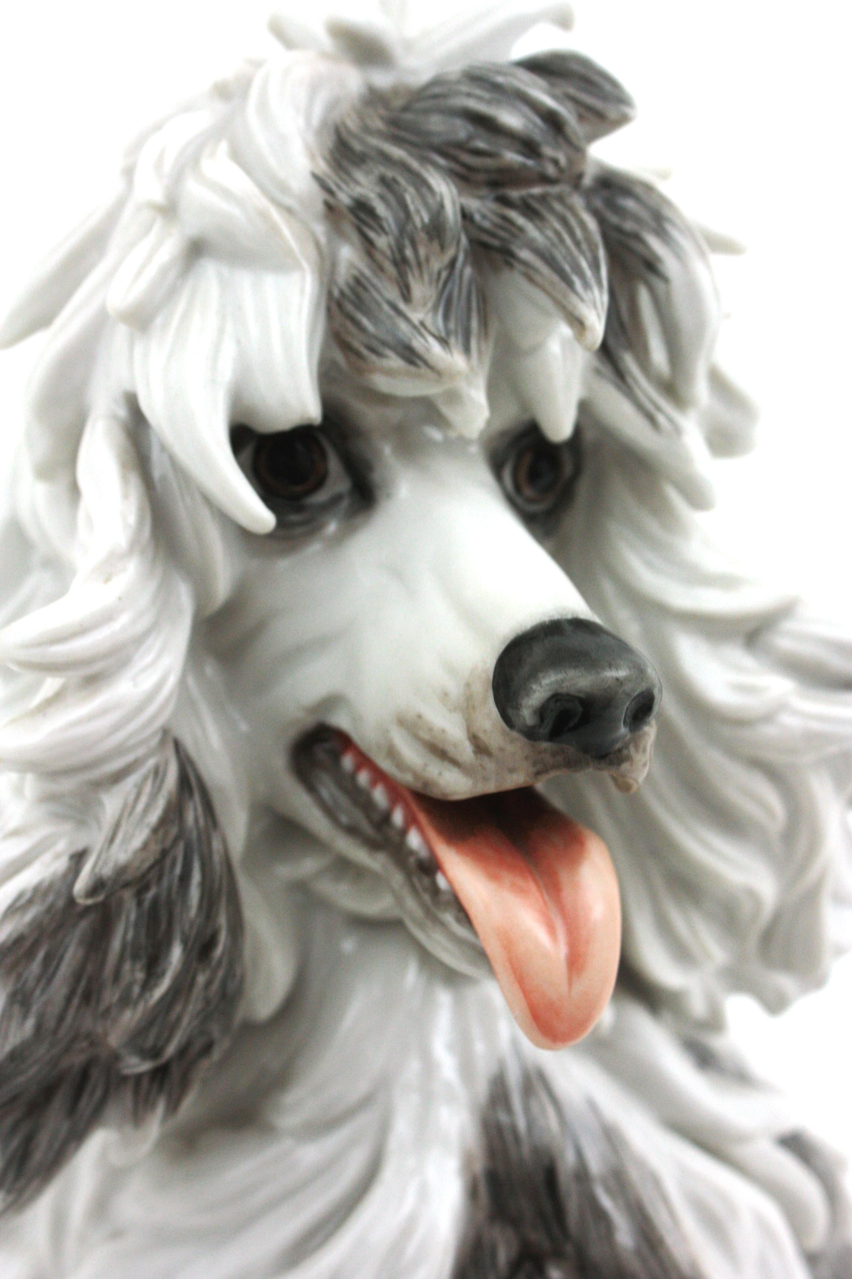Midcentury Spanish Algora Porcelain Large Poodle Dog  1