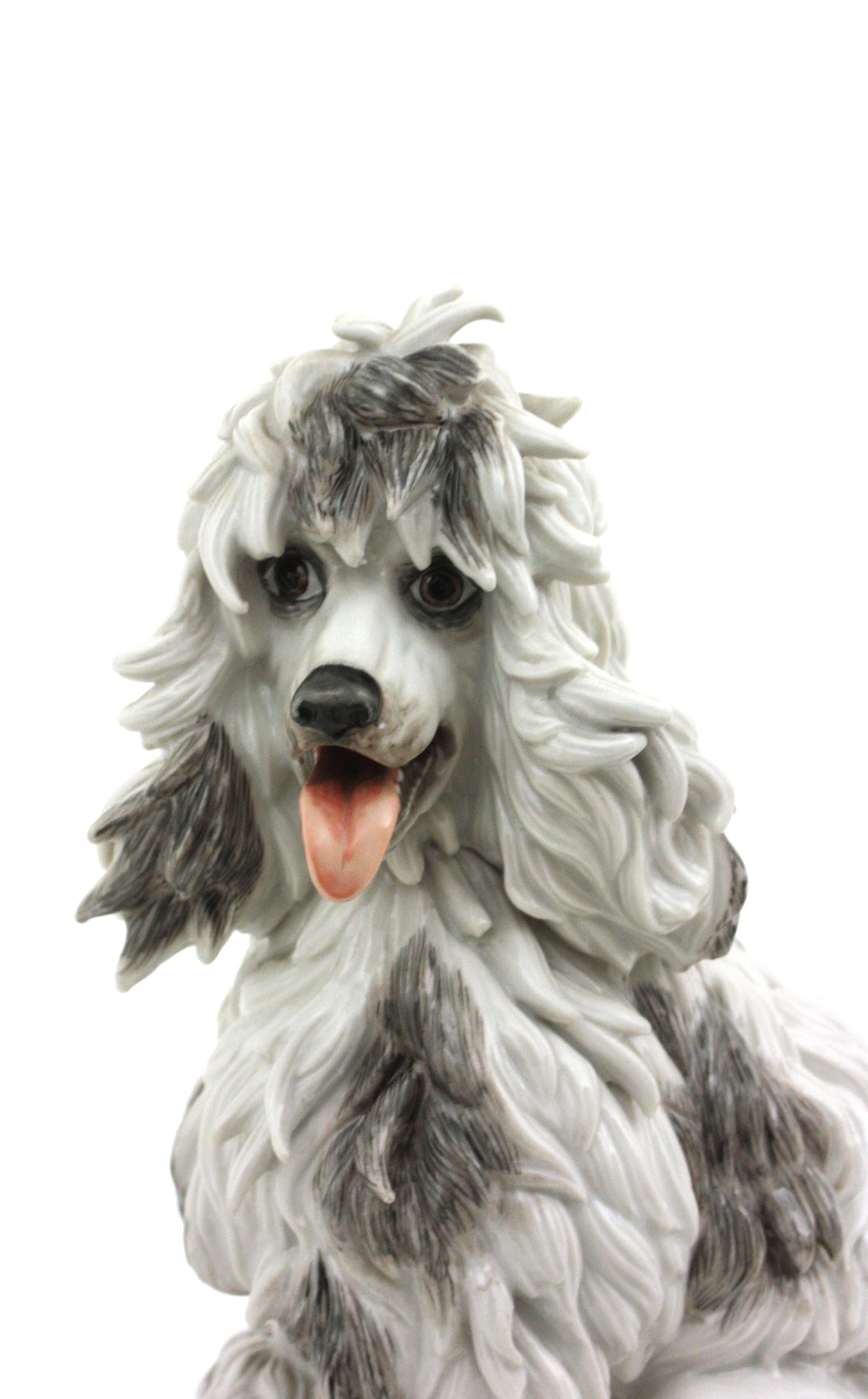 Mid-Century Modern Grand chien caniche en porcelaine Algora d'Espagne du milieu du siècle dernier