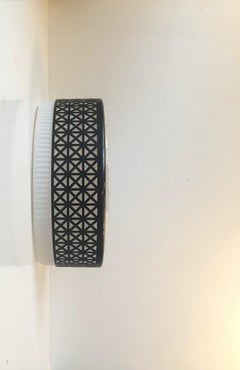 Midcentury Spider Web Flush Mount or Wall Sconce by Glashütte Limburg