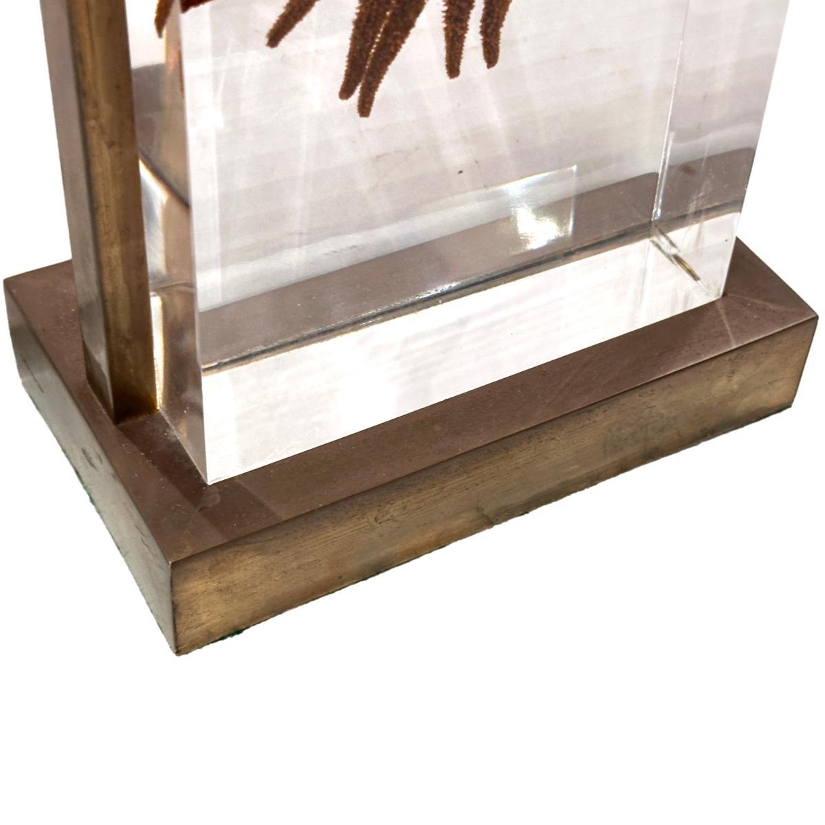 A circa 1960's French acrylic lamp with starfish.

Measurements:
Height of body: 14