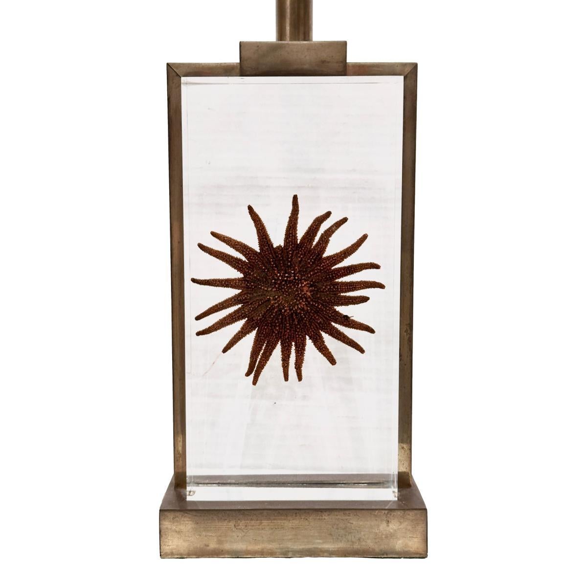 French Midcentury Starfish Lamp For Sale