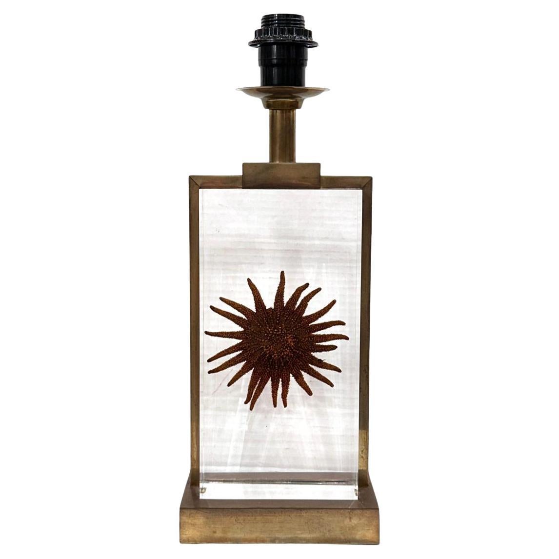 Midcentury Starfish Lamp For Sale