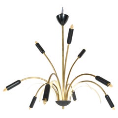 Chandeliers and Pendants