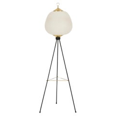 Midcentury Stilnovo Tripod Floor Lamp in Brass, Opaline Glass, Metal, Italy 1950