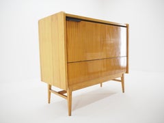 Midcentury Storage Cabinet, Czechoslovakia, 1960s