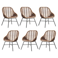 Midcentury Style Rattan and Black Metal Set of Six Armchairs