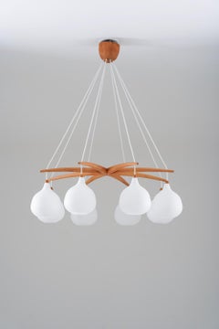 Midcentury Swedish Chandelier by Luxus