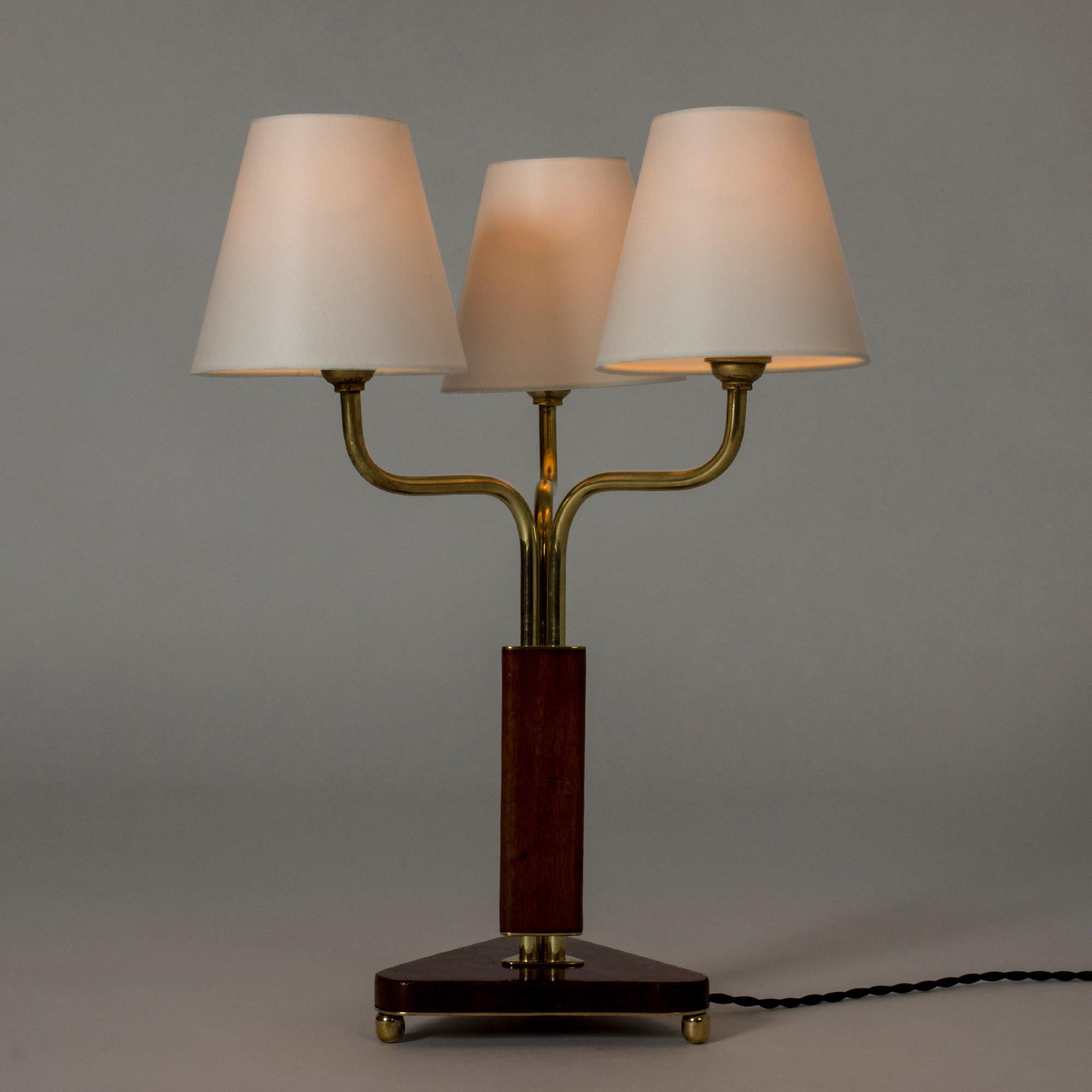 Scandinavian Modern Midcentury Swedish Mahogany Table Lamp For Sale