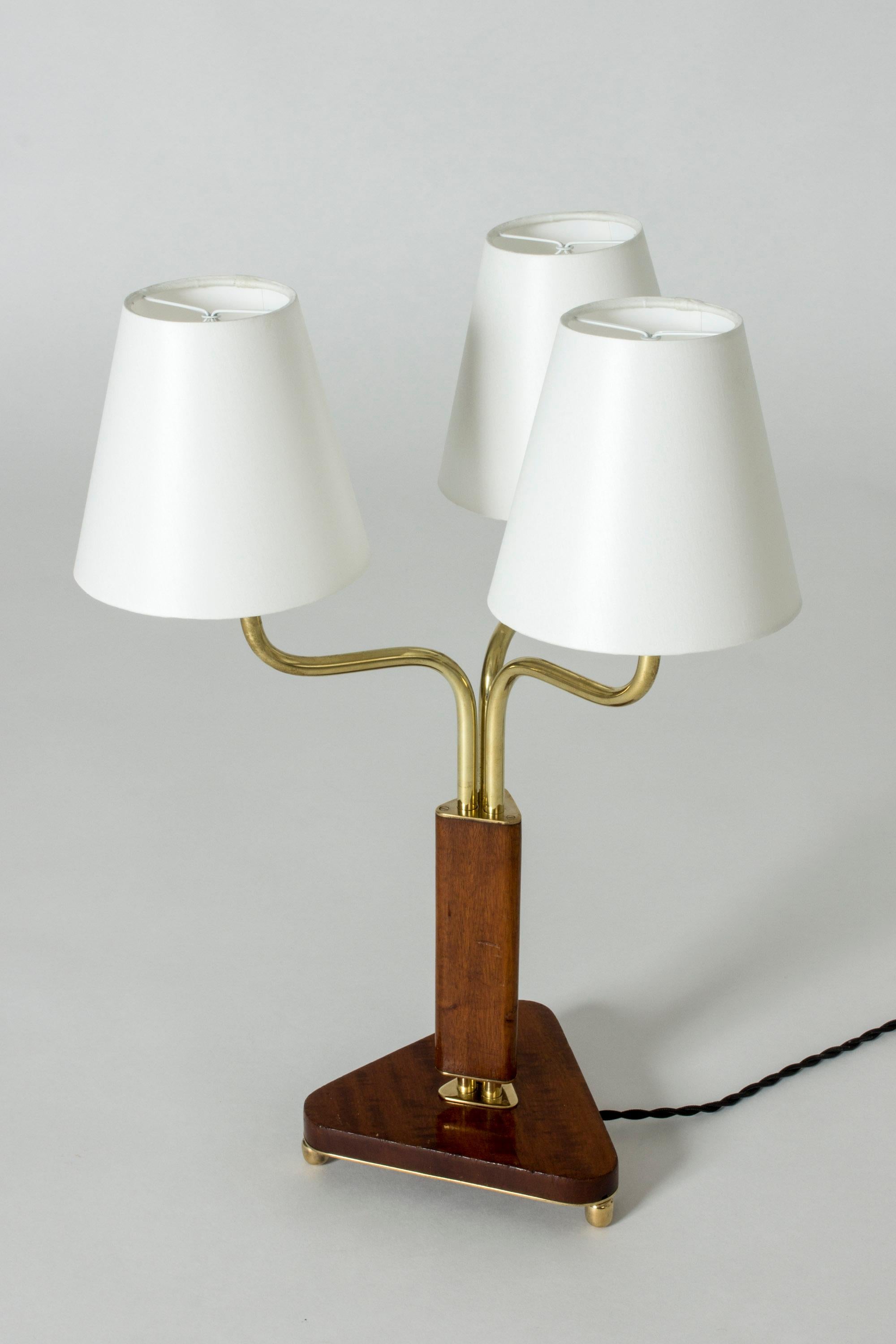 Midcentury Swedish Mahogany Table Lamp In Good Condition For Sale In Stockholm, SE