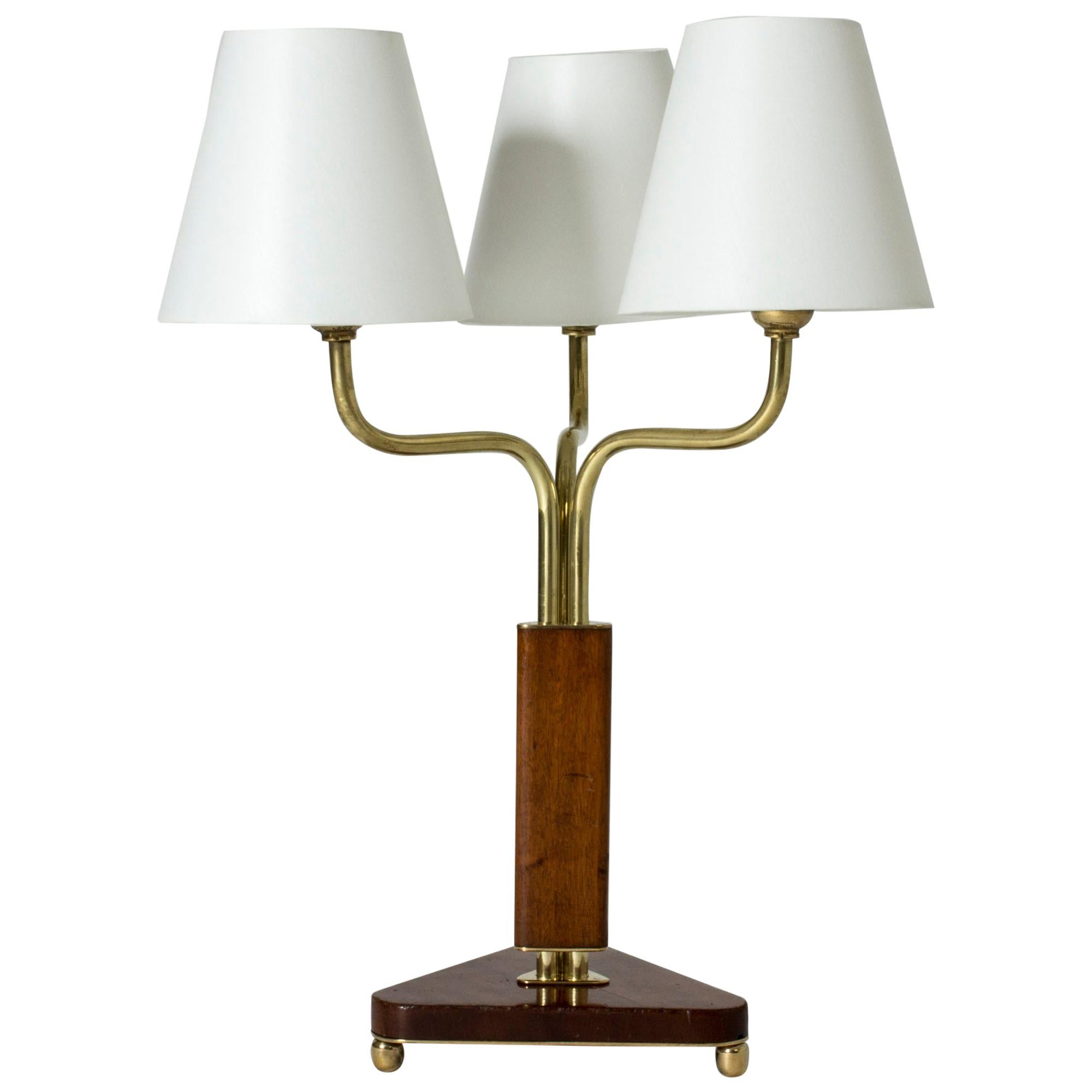 Midcentury Swedish Mahogany Table Lamp For Sale