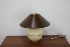 Tischlampe aus der Mitte des Jahrhunderts:: Napako:: 1960er Jahre