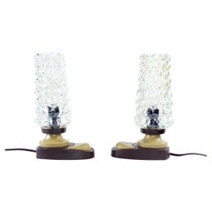 Vintage Mid-Century Table Lamps in Glass and Plastic, Czechoslovakia, 1960s
