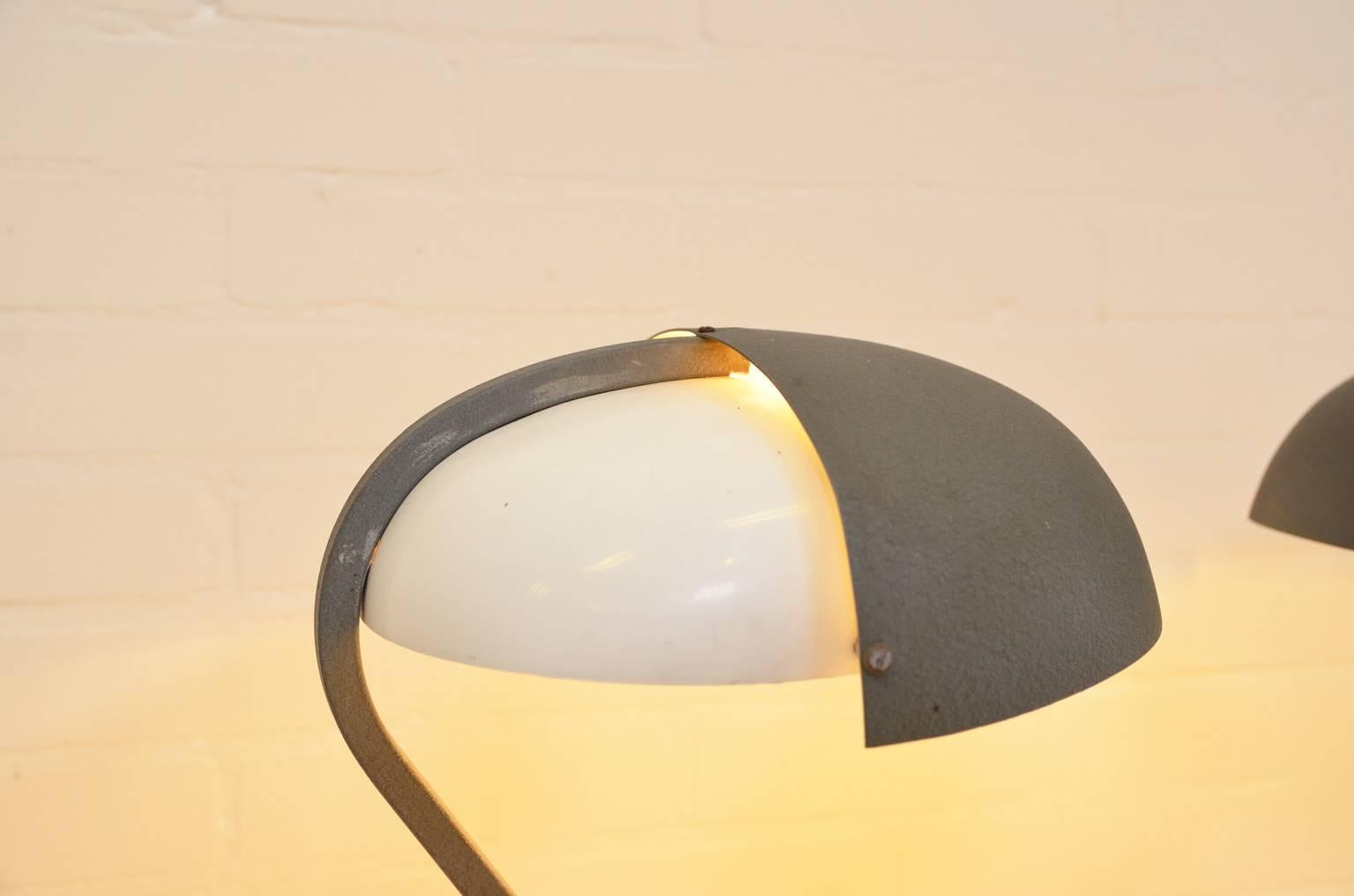 Mid-20th Century Midcentury Table Lamp NX110 by Louis Kalff for Philips, Netherlands