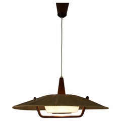 Mid-Century Modern Chandeliers and Pendants