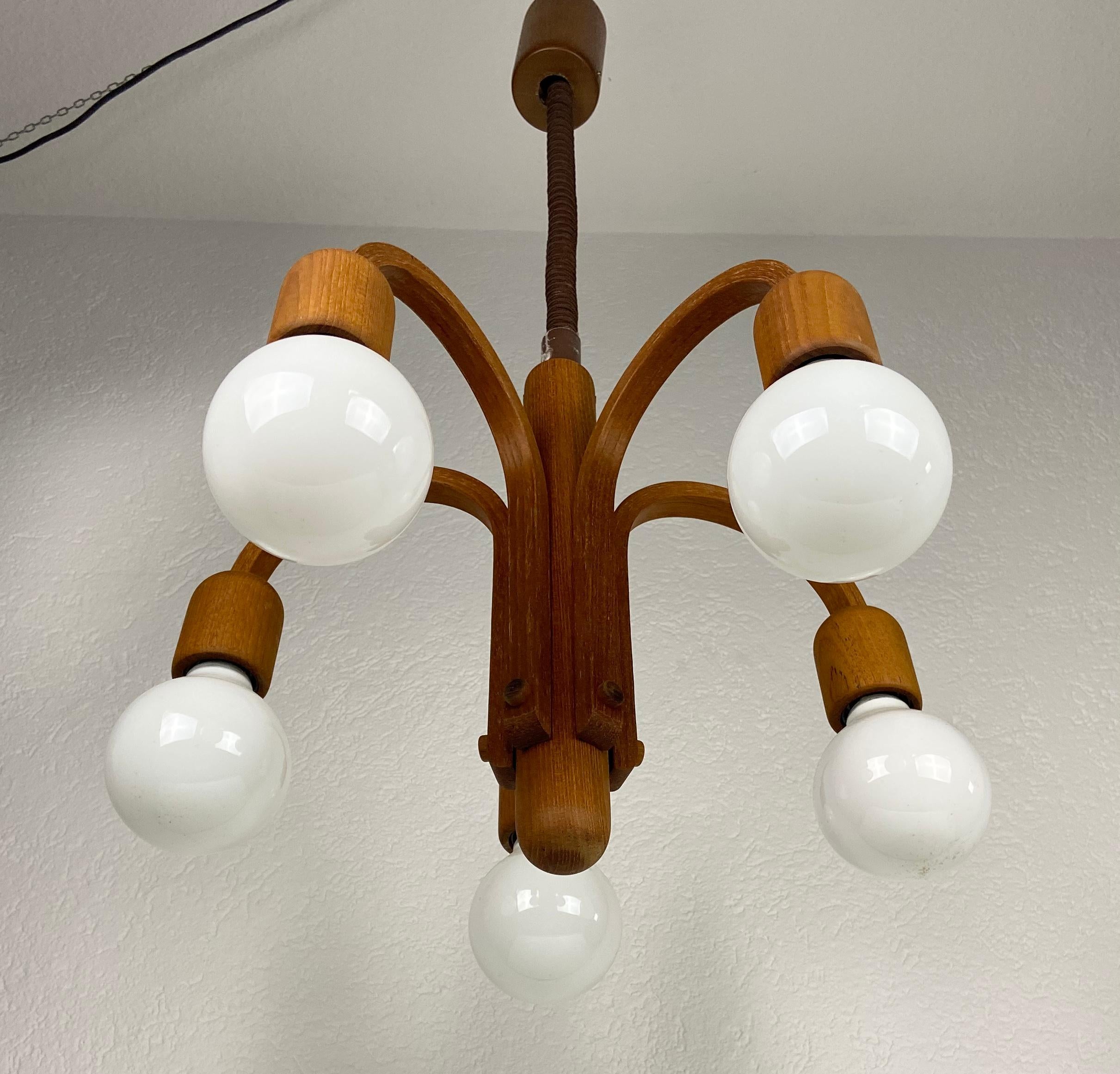 Mid-20th Century Midcentury Teak Pendant Lamp with 5 Arms by Domus, 1960s