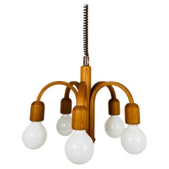 Midcentury Teak Pendant Lamp with 5 Arms by Domus, 1960s