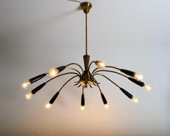 Midcentury Ten-Light Spider Chandelier in Brass, 1950s