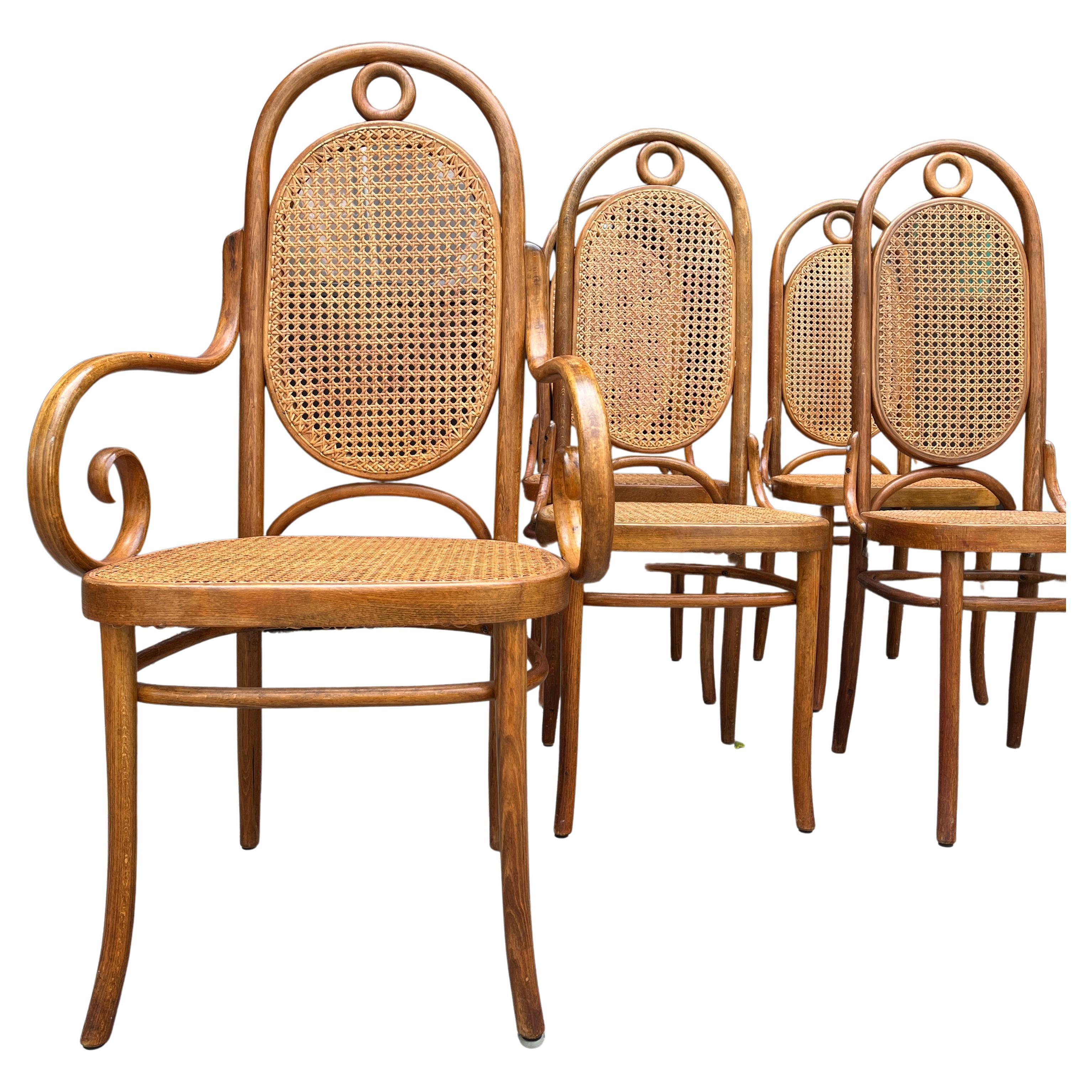 Chaises de salle à manger en bois courbé à dossier haut Thonet N. 17 du milieu du siècle Lot de 6 en vente 5