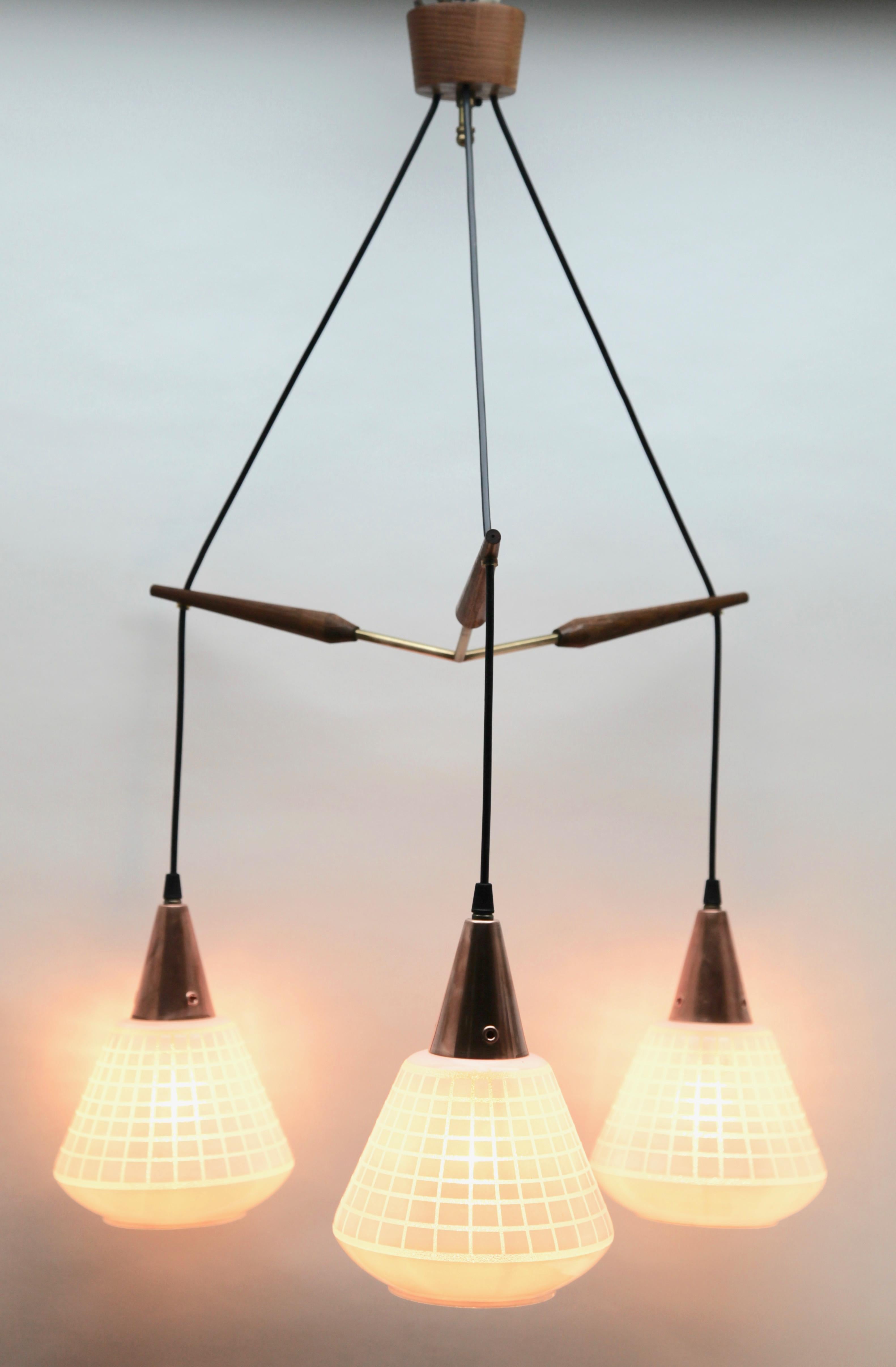 Mid-Century Modern Lampes à suspension d'arbre du milieu du siècle dernier, teck avec abat-jour optique dépoli Massive, Belgique en vente