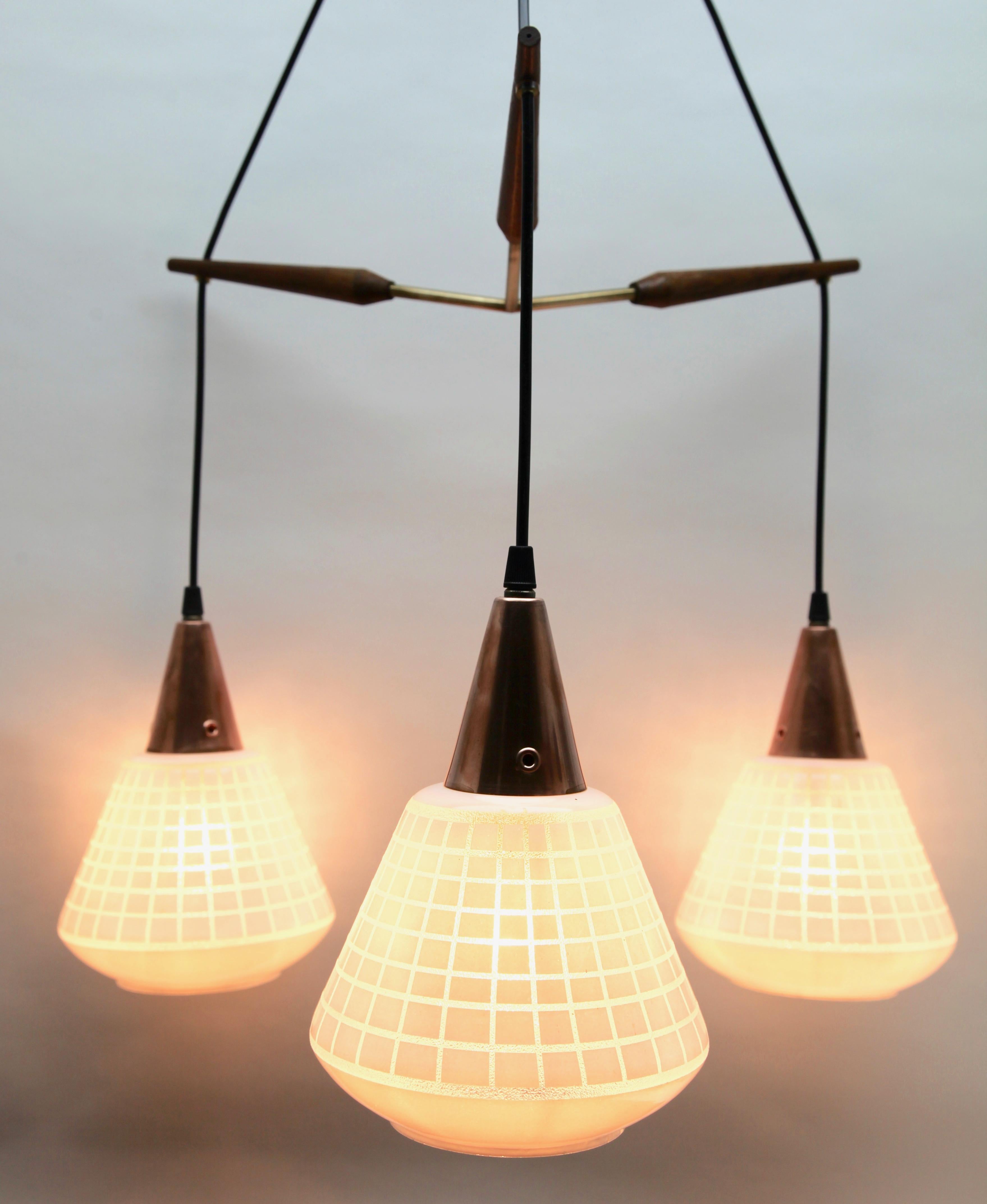 Midcentury Tree Pendant Lights, Teak with Frosted Optical Shade Massive, Belgium In Good Condition For Sale In Verviers, BE