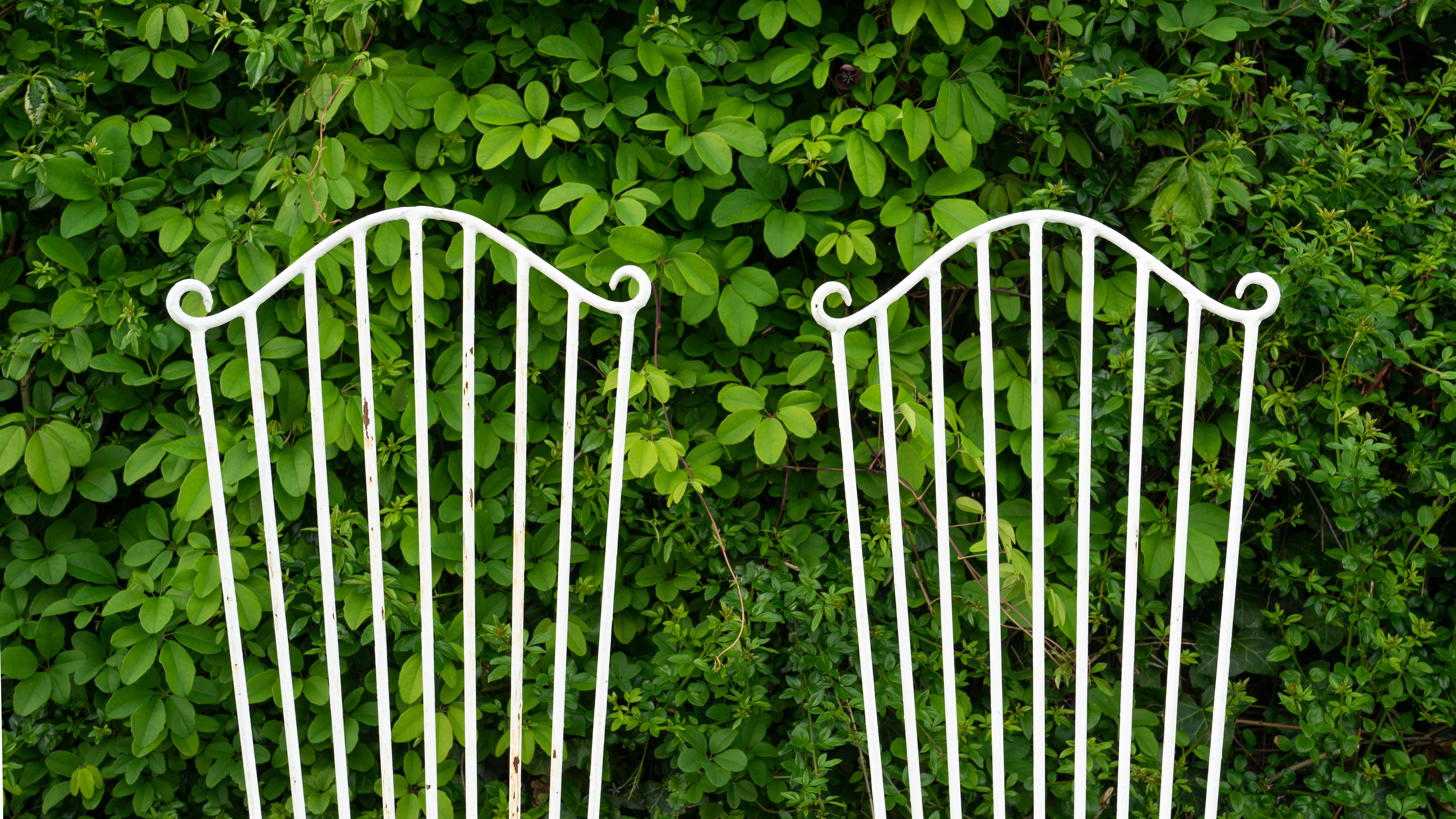 Midcentury Vintage Iron Garden Chairs, 1950s For Sale 4