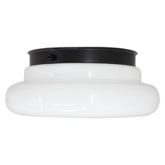 Midcentury Wall or Ceiling Lamp, Flushmount, 1970s, Up to 7 Pieces