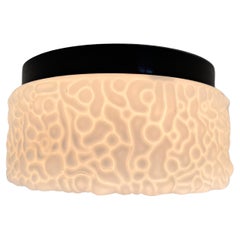 Midcentury Wand- oder Deckenleuchten, Flushmount, 1970er - bis zu 15 Pieces