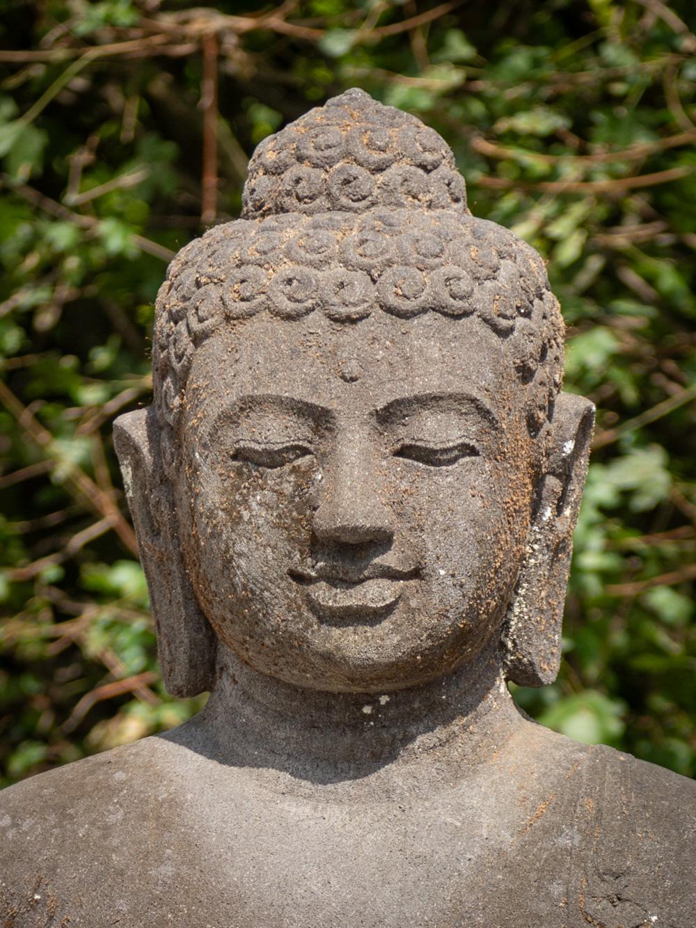 dharmachakra mudra buddha