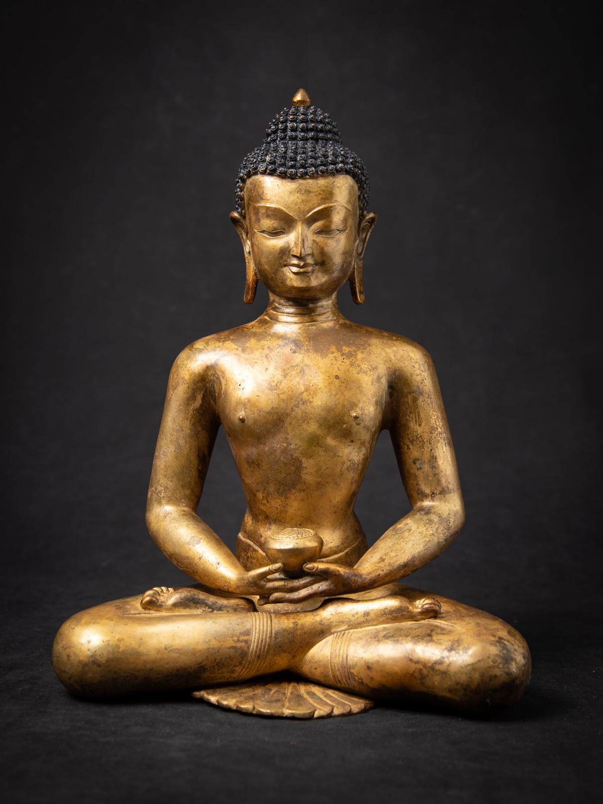 Découvrez la splendeur méditative de cette statue de Bouddha népalais en bronze ancien, un chef-d'œuvre du milieu du XXe siècle qui harmonise la tranquillité spirituelle avec le summum de l'artisanat himalayen. Coulée dans un bronze lustré et dorée