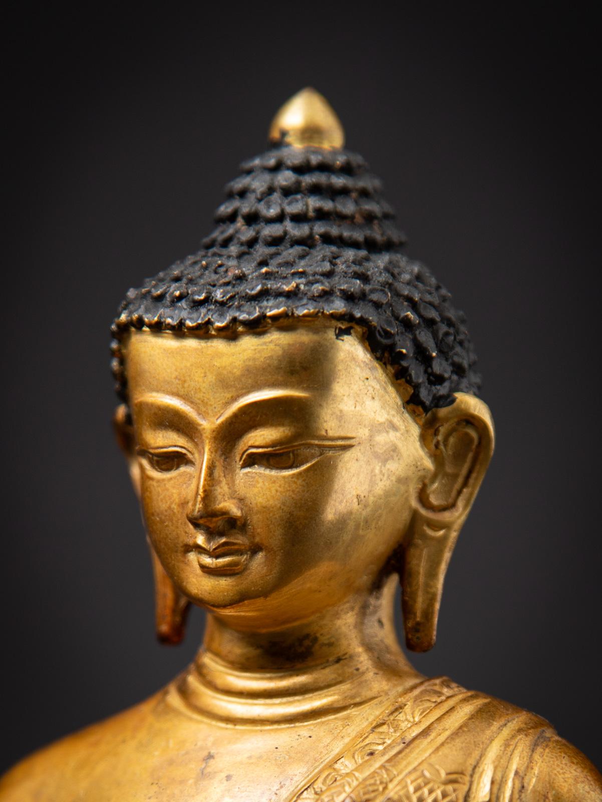 Middle 20th century Old bronze Nepali Medicine Buddha statue - OriginalBuddhas 5
