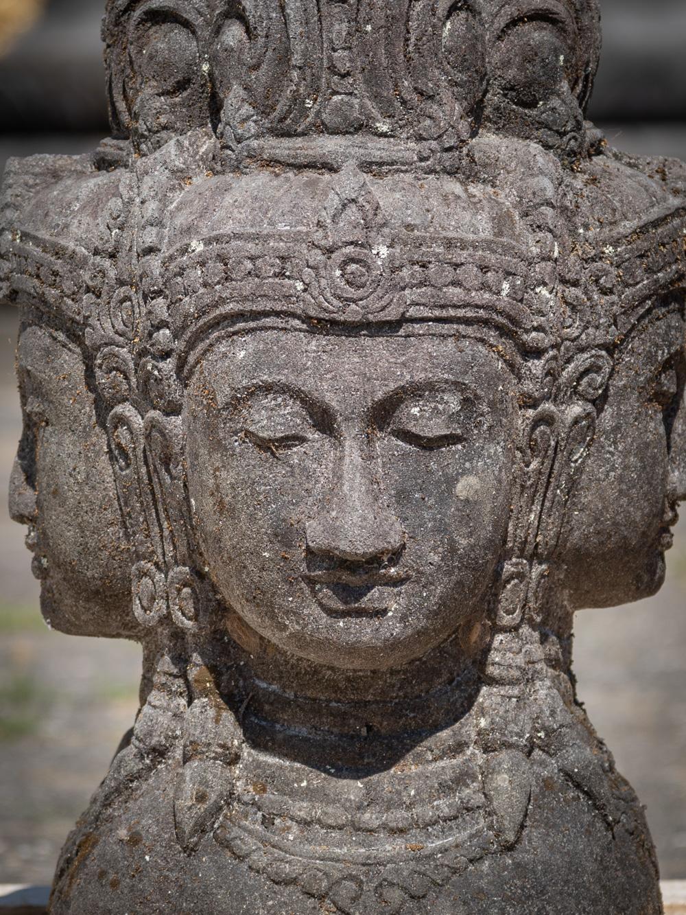 brahma faces