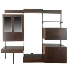 Retro Midentury Rosewood Wall-Unit Including Table, Desk, Curio Cabinet and Light