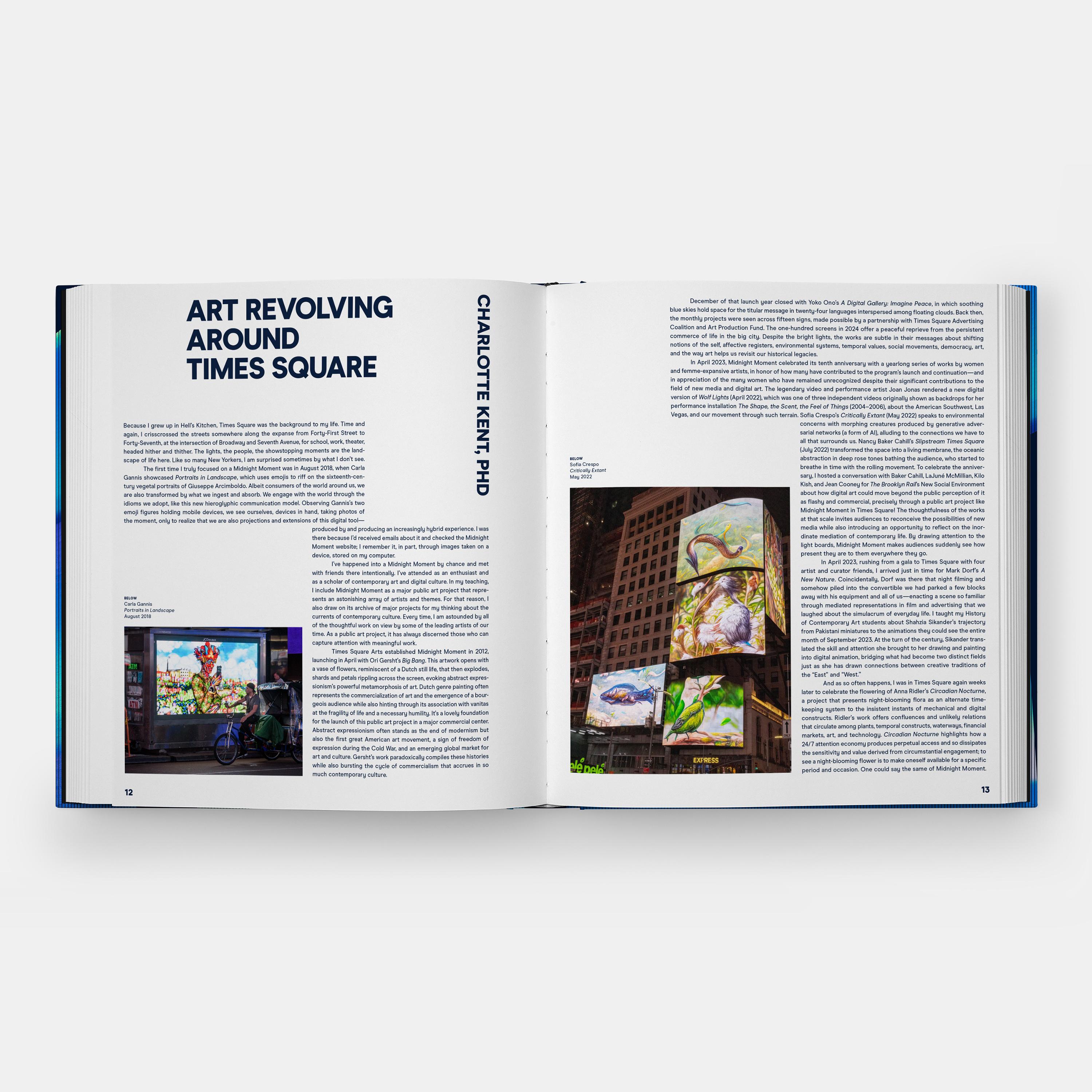 Midnight Moment: A Decade of Artists in Times Square For Sale 2