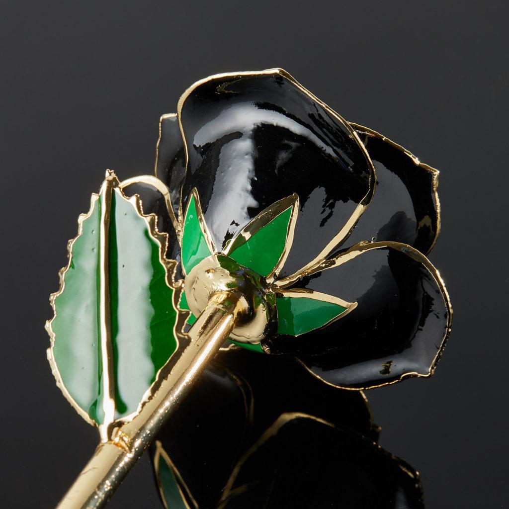 Meaning Behind The Rose. Meaning Behind The Rose. Our Midnight Promise rose will awaken the deepest and darkest desires of your loved one when you present them with this treasured gift. Dipped in 24k gold and lacquered to preserve for a lifetime,
