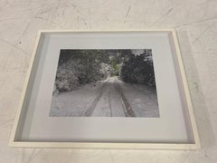 "Midsummer Snowstorm" Digital Photo by Peter Liversidge