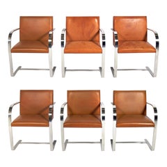 Mies van der Rohe for Knoll Brno Dining Chairs Set of Six