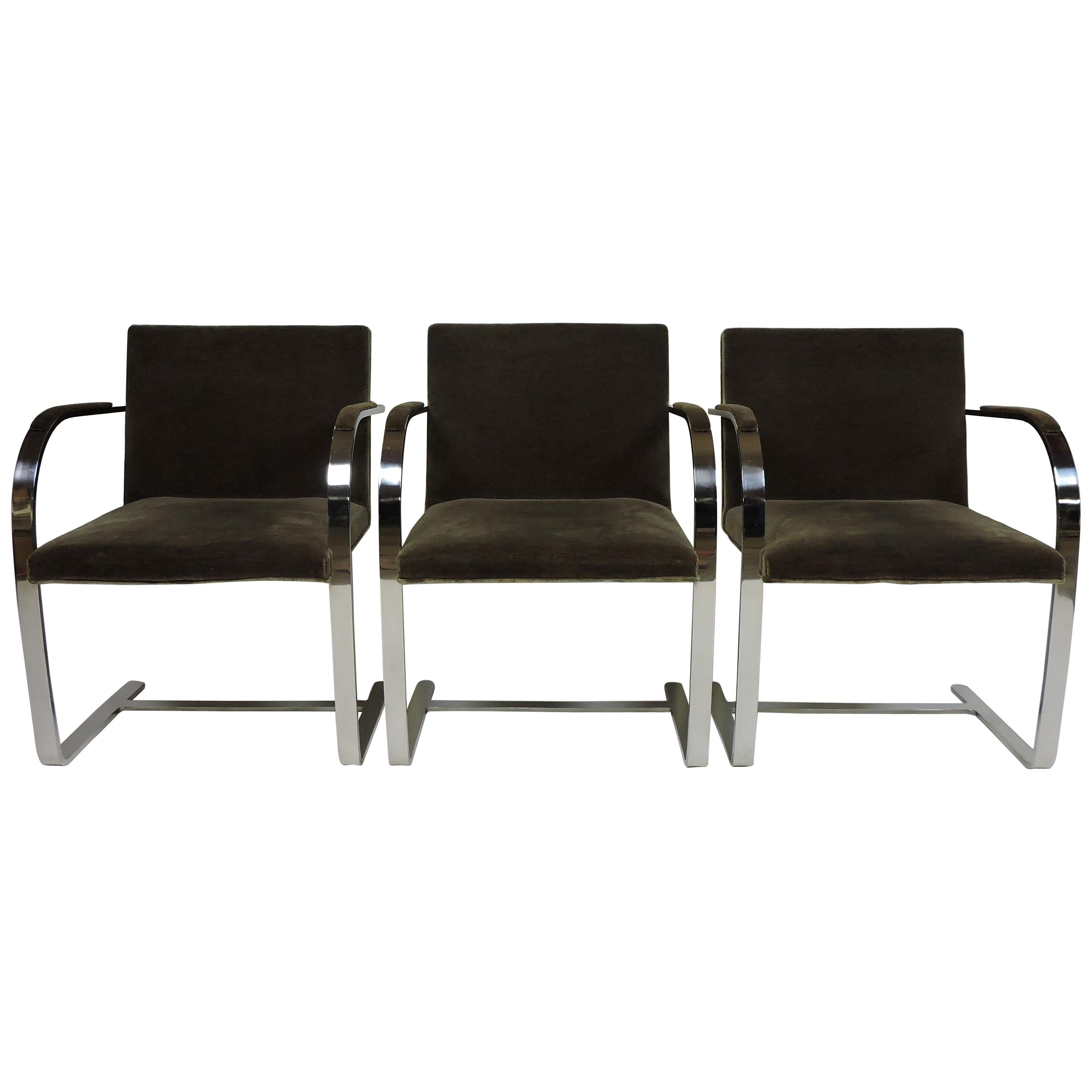 Mies van der Rohe for Knoll Brno Flat Bar Stainless Steel Chair, 3 Available