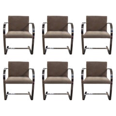 Mies Van Der Rohe: 6er-Set BRNO-Stühle aus Chrom und Ultra-Wildleder, Mid-Century Modern