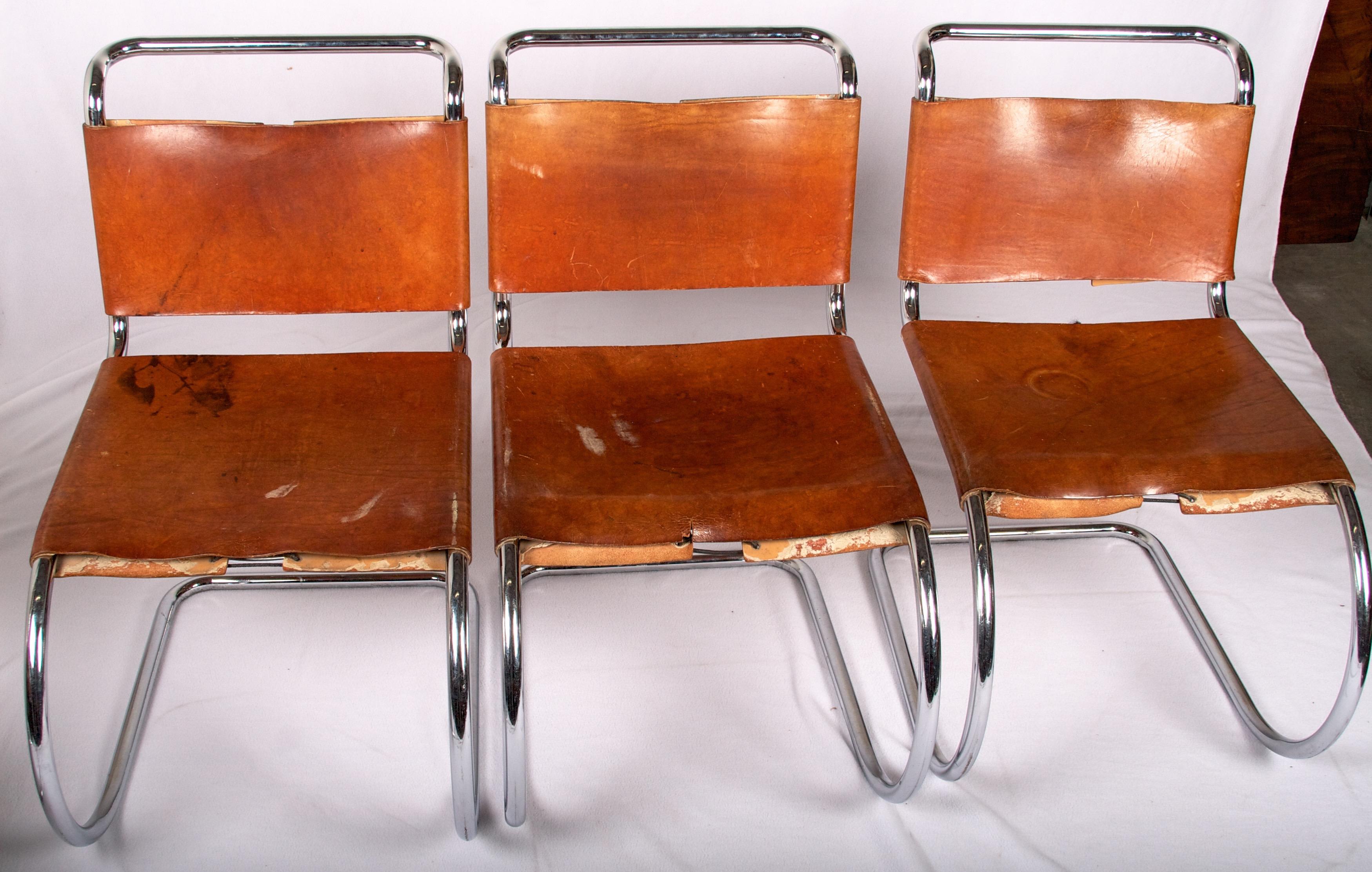 These chairs bear the famous Italian Maker Label, Bononia, from who's owner and creator, Dino
Gavina, Knoll purchased the company and rights to it's inventory.
No restoration has been done to these chairs. The leather is original, the lacing is
