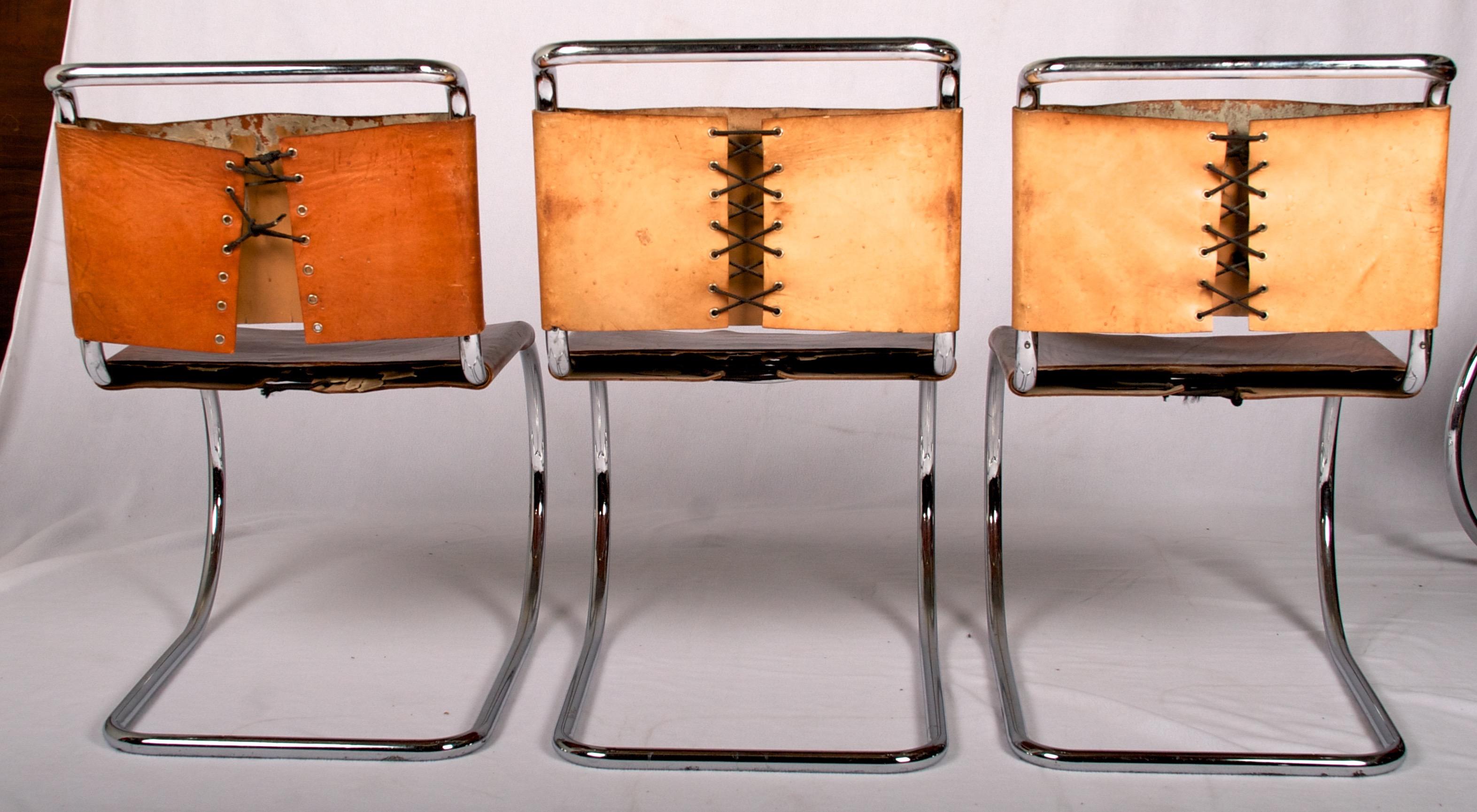 Mies van der Rohe, Six Early Side Chairs Original Leather with Lacing, MR Series 1