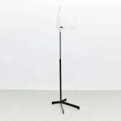 Miguel Milá TMC Floor Lamp, circa 1950